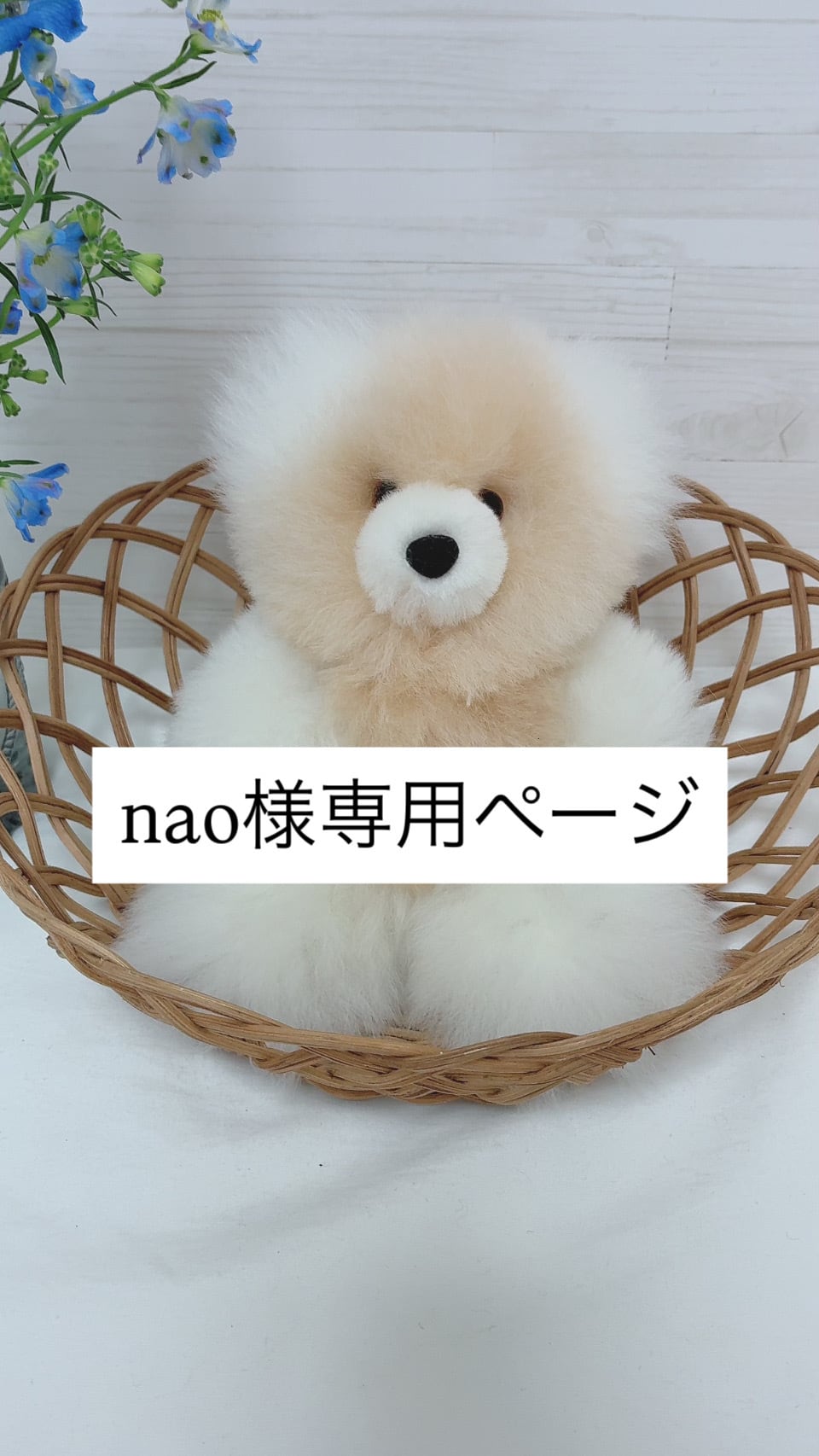 nao様専用