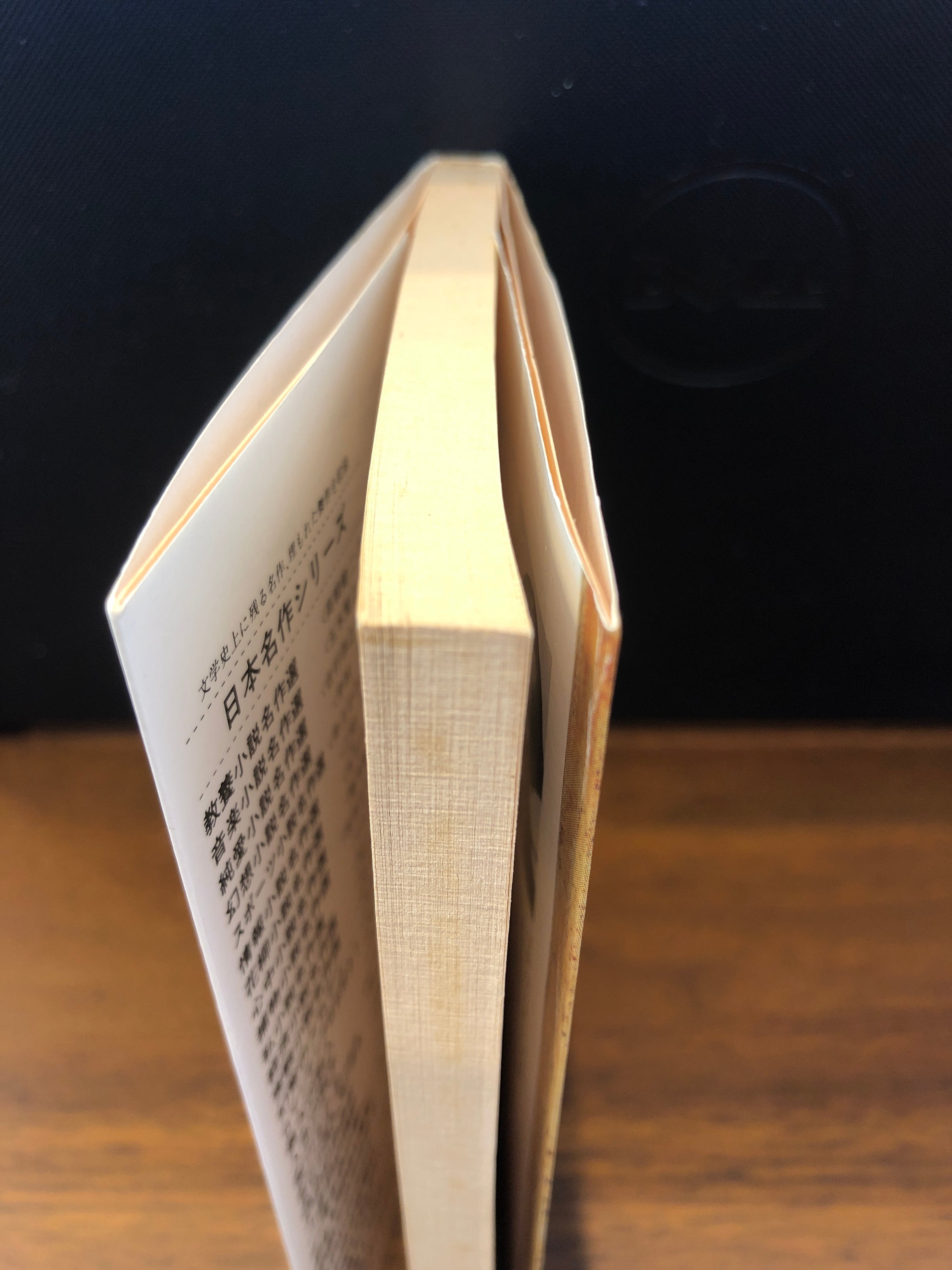 イリュージョン リチャード バック おいもとほん Talking Book トーキング ブック