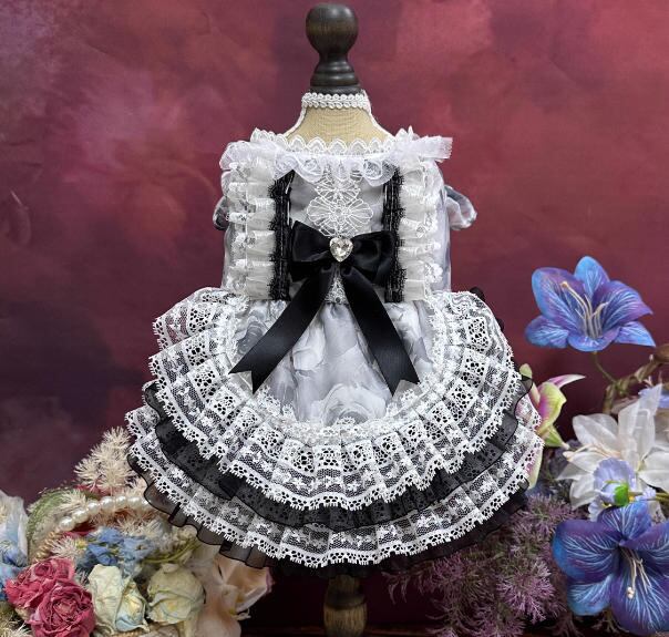 《予約》3102464 ブラックホワイトドレス