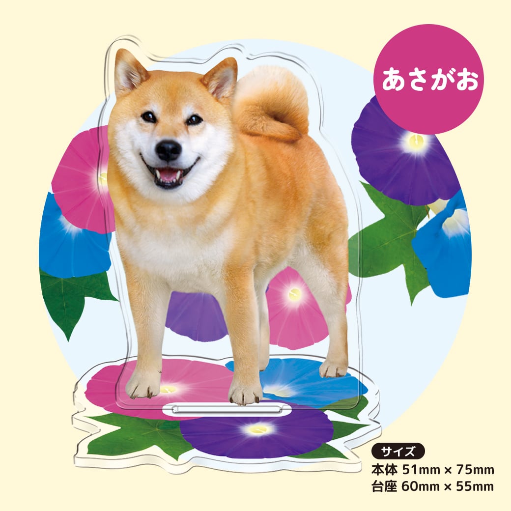 柴犬まる☆アクリルスタンド | MARUTARO SHOP