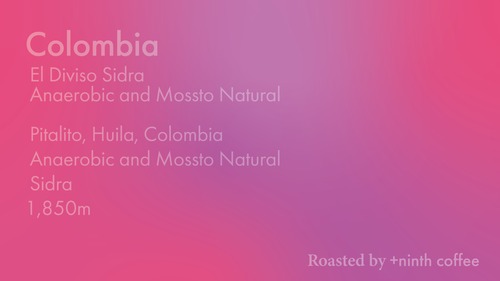 Colombia El Diviso, Sidra - Anaerobic and Mossto Natural
