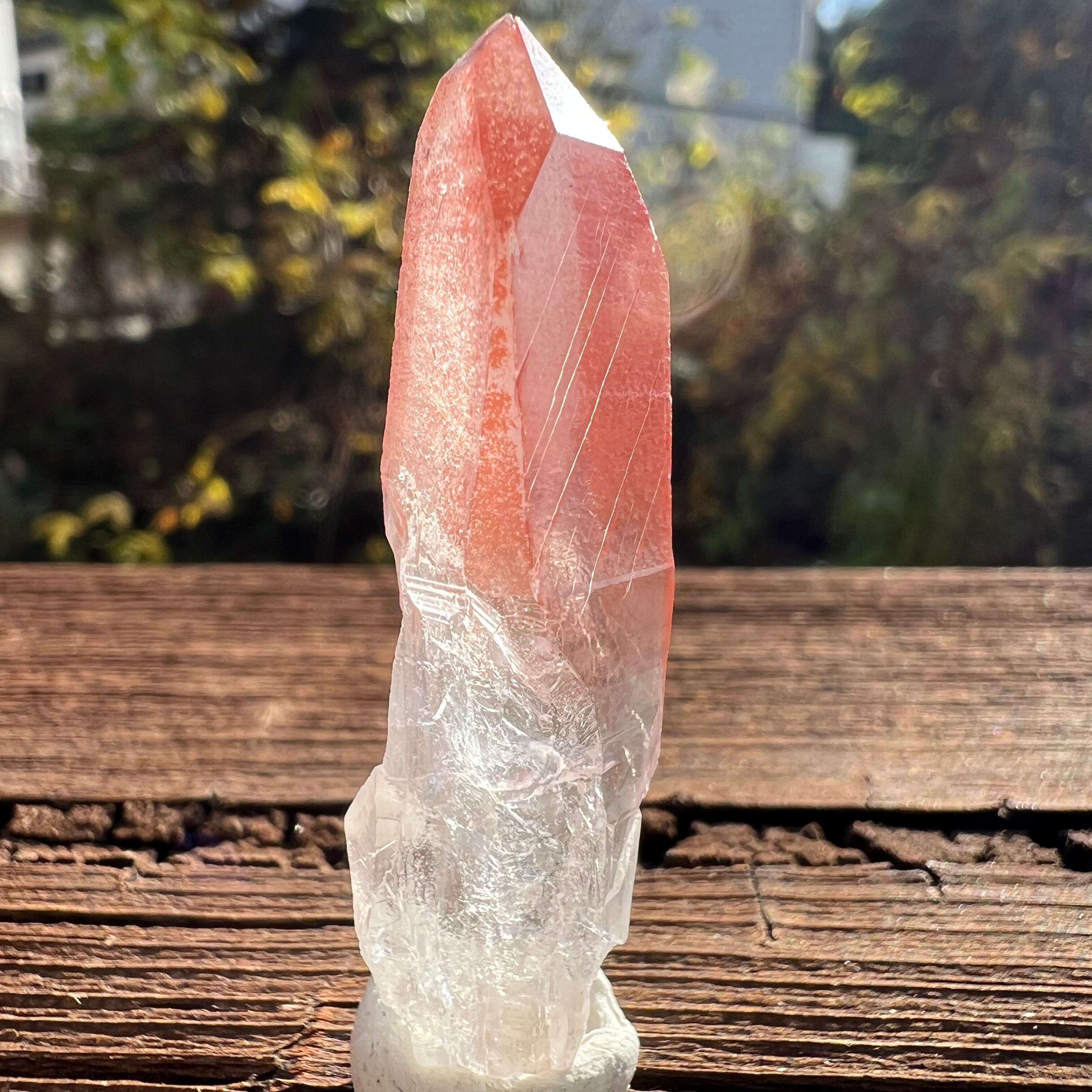 レムリアンシード　オールドレムリアン レムリアンシード オールドタイプ | Gemstone＆Healingshop Lysblanc