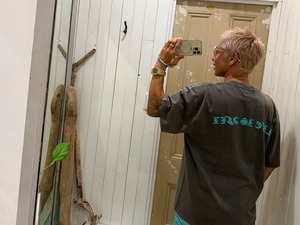 LIFE is lifeピグメントTシャツ￥6,990(7,689)