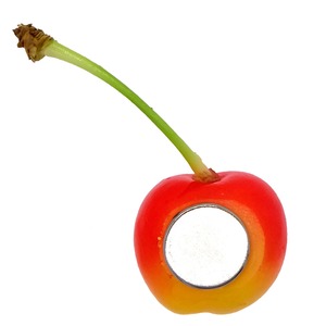 食べちゃいそうな 一粒 さくらんぼ 食品サンプル マグネット