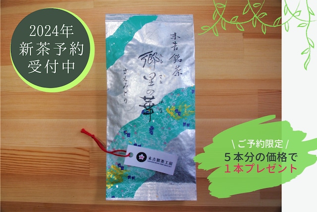 【予約販売限定】2024年新茶｜お得な大入セット｜ 郷里の華　さえみどり　−冠せ茶−（100g × ５本 + １本）