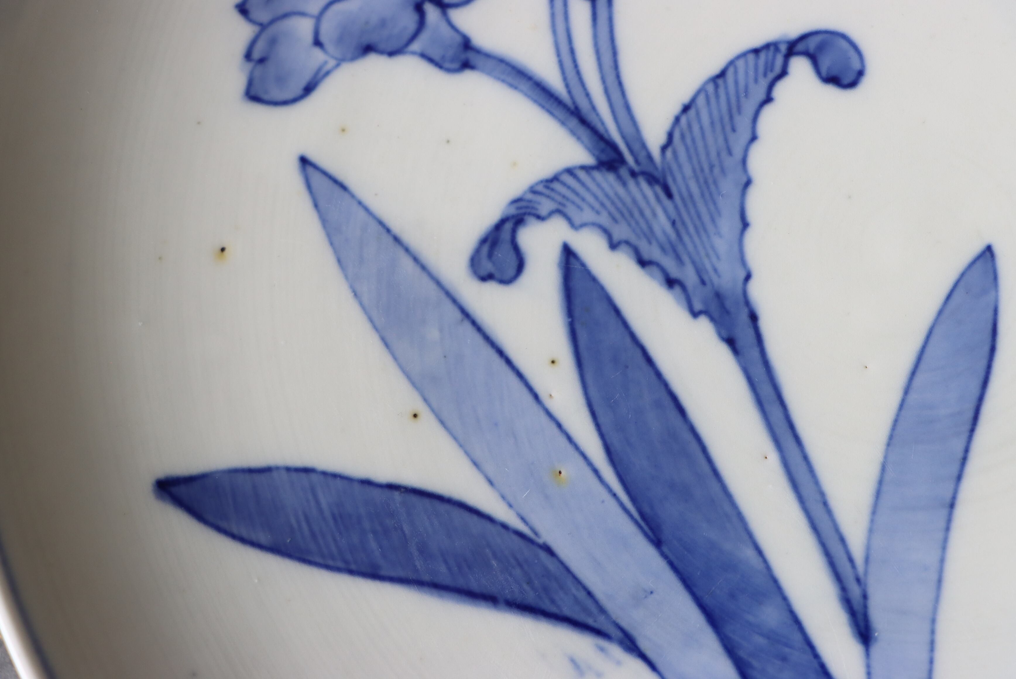 染付 阿蘭陀石竹文 中皿 七寸/Blue and white medium size plate | (有