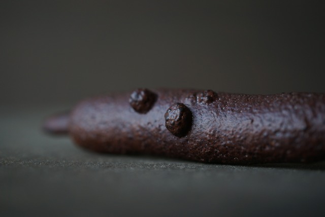 エジプト産リモナイト Goethite var. Limonite 1901