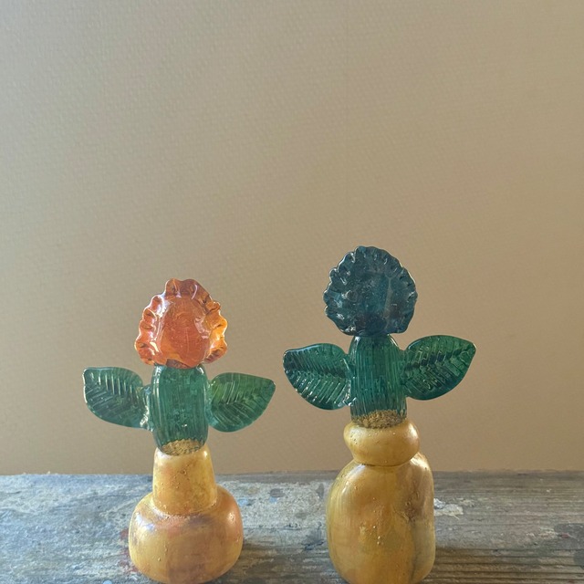 常盤 杏奈 glass plant-5