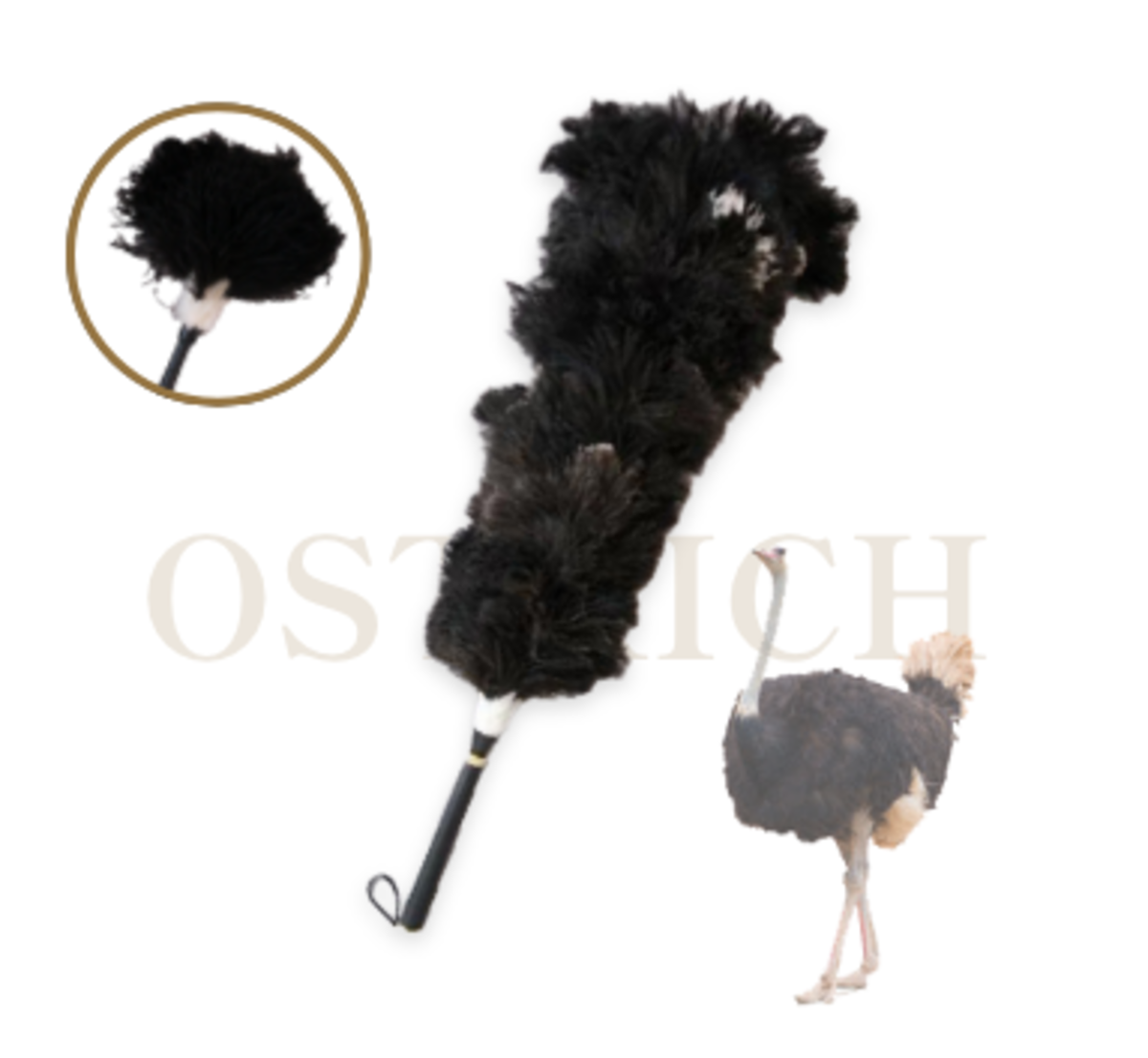 XL【125・27・98・23・420】オーストリッチ毛ばたき＋小ばたき