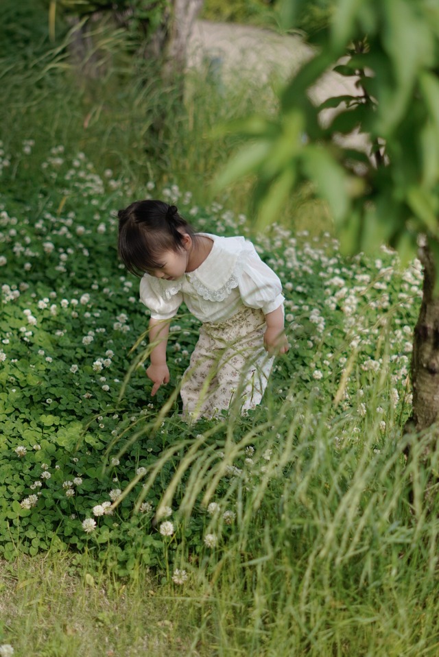 ꒰ 即納 ꒱ Tiffany setup / anneshirley