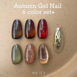 my it's Color Gel Autumn 秋カラージェル カラーネイル 6色セット ミラーパウダー