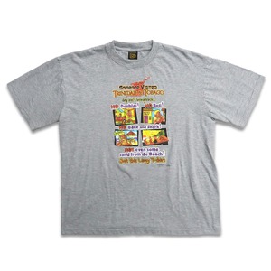 古着 SOLEIL プリント 半袖 Tシャツ グレー 表記：L　gd402399n w40425