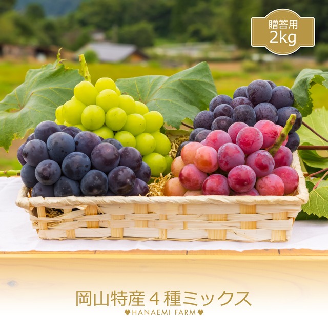 花笑み農園 ぶどうを産地直送