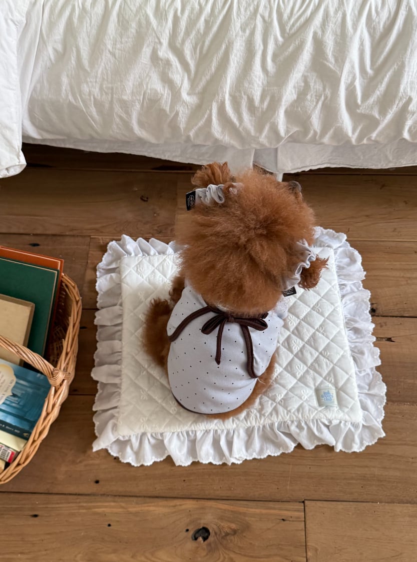 Sleeveless+Bolero/予約【tak!tak!tak!tak!】PowderBlue (Mocha dot cardigan set)