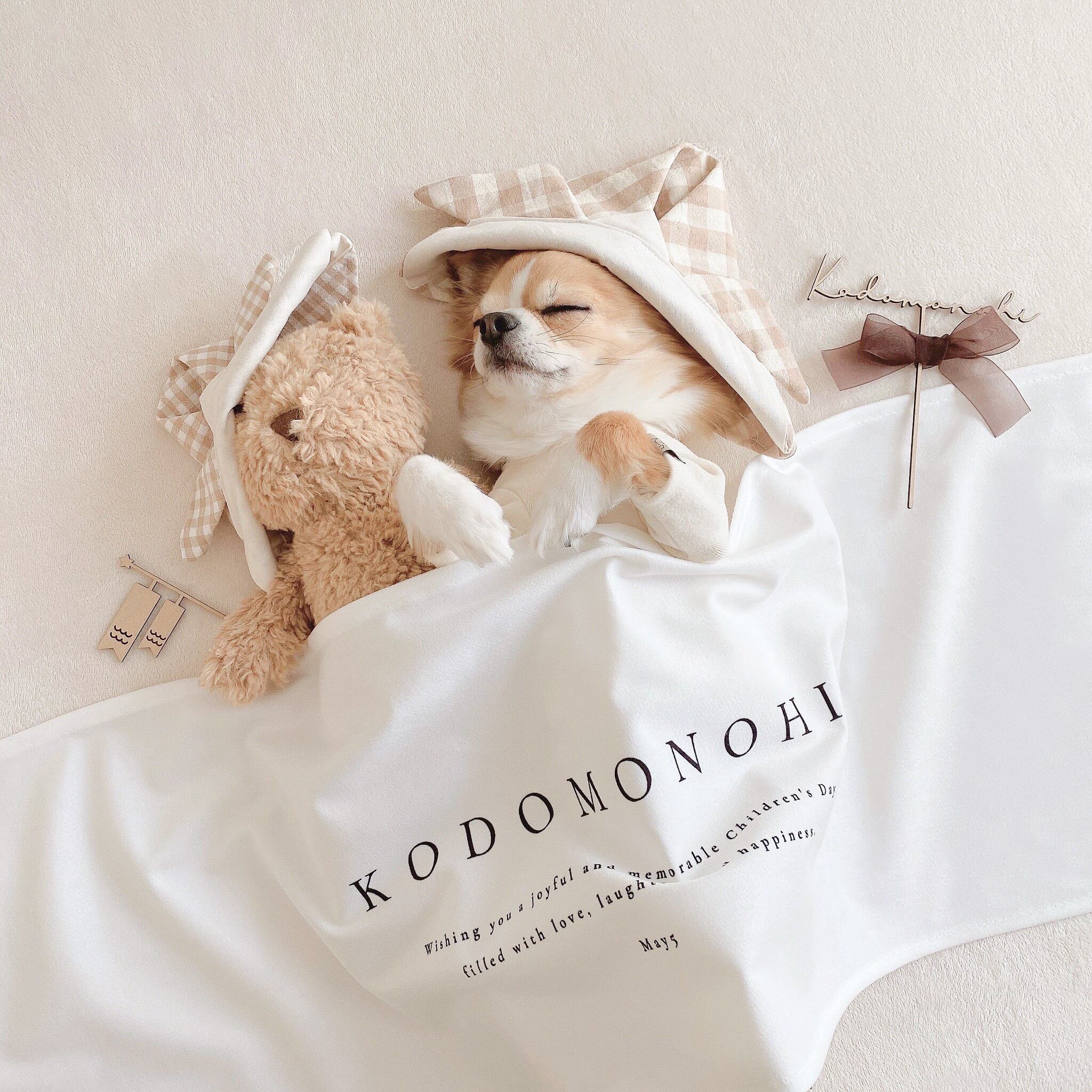 sold out /T018【 Kodomonohi Tapestry Type-A 】 こどもの日