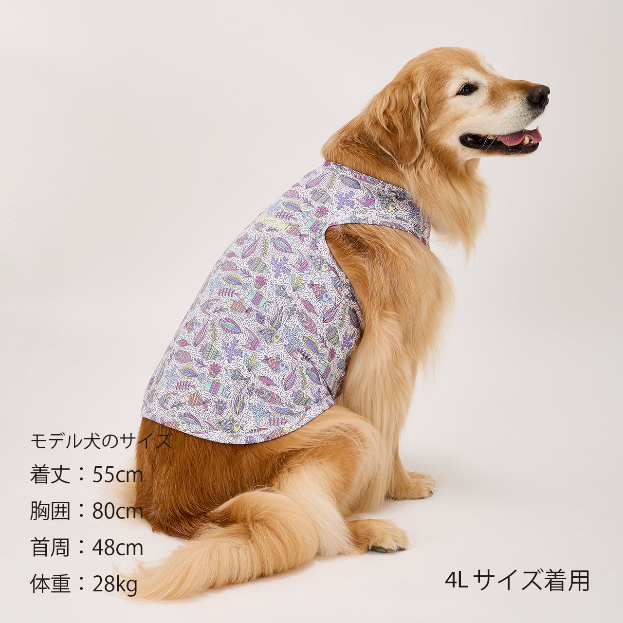 CCL COOLING TANK（3L.4L.5L） CCLクーリングタンク マンダリン