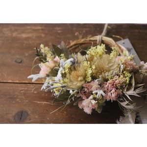 WR#247 ハーフリース