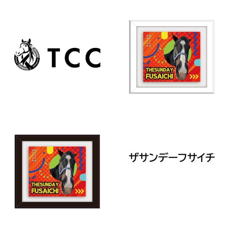 爽やか馬場 出品 楽天市場】【送料無料】Klaus 馬場用 ゼッケン BAM75 | メッシュ