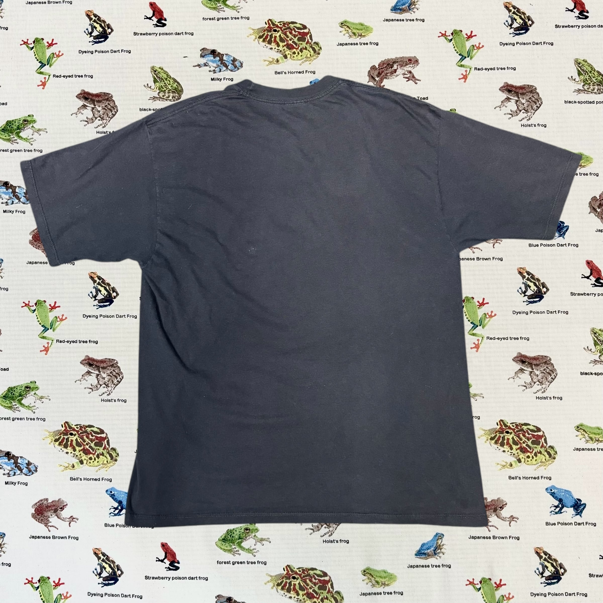 90s アートt ルネ・マグリット　サイズL JERZEESボディ 90s Rene Magritte Art Print Tee USA製 | VOLAR
