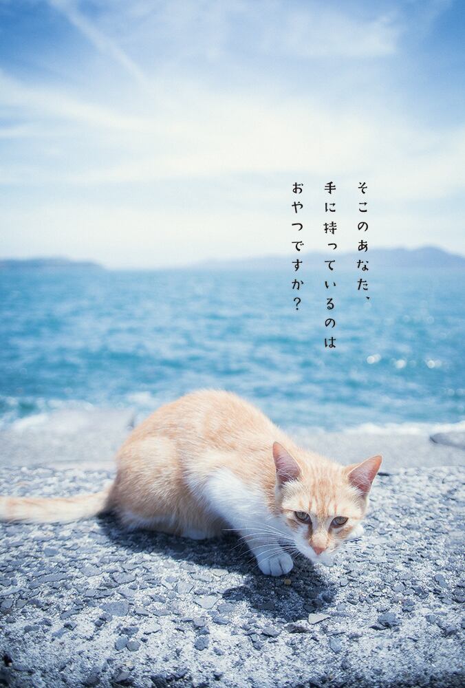 しまねこ（C-284） | マツヤマ・ワンコインアート・プロジェクト
