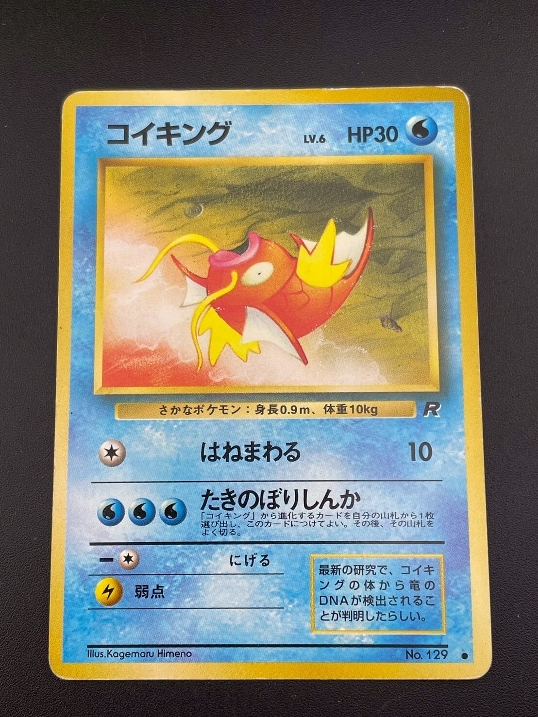 中古品】 タケシのキュウコン LV.30 HP70 No.038 リーダーズスタジアム