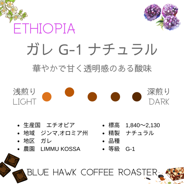 エチオピア ガレ G-1 ナチュラル 40g