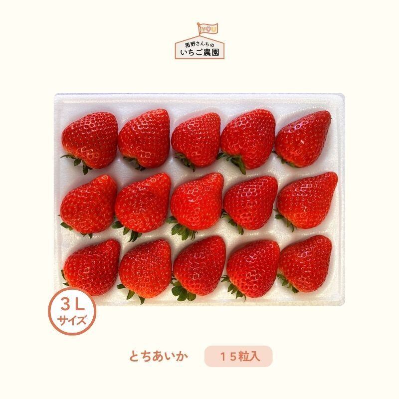 とちあいか（DXサイズ 6粒入り×2P） | 猪野さんちのいちご農園｜産直