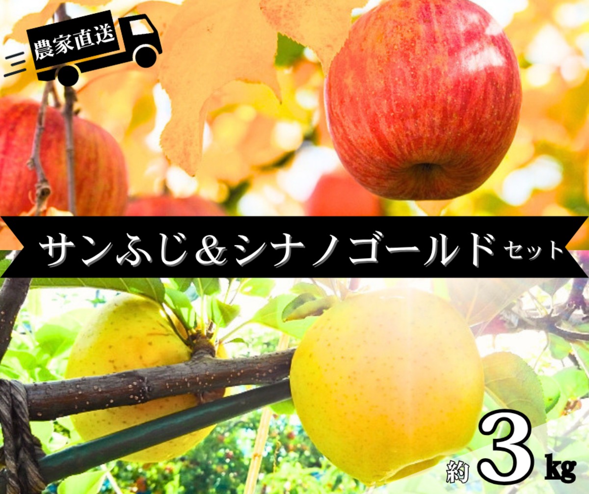2025年10月15日予約開始予定【信州】サンふじ＆シナノゴールド2種類