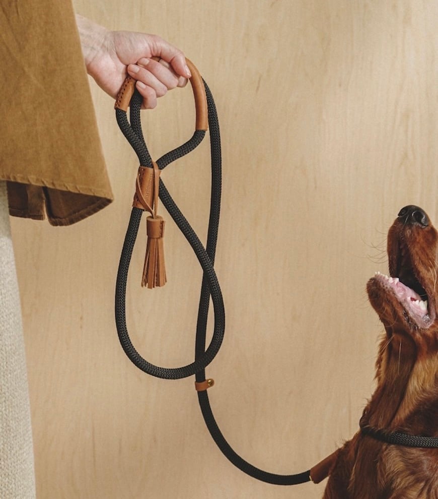 hunting pony犬ハーネスキャメル