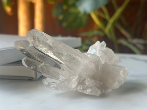 恋と婚活と家庭のオートクチュール56