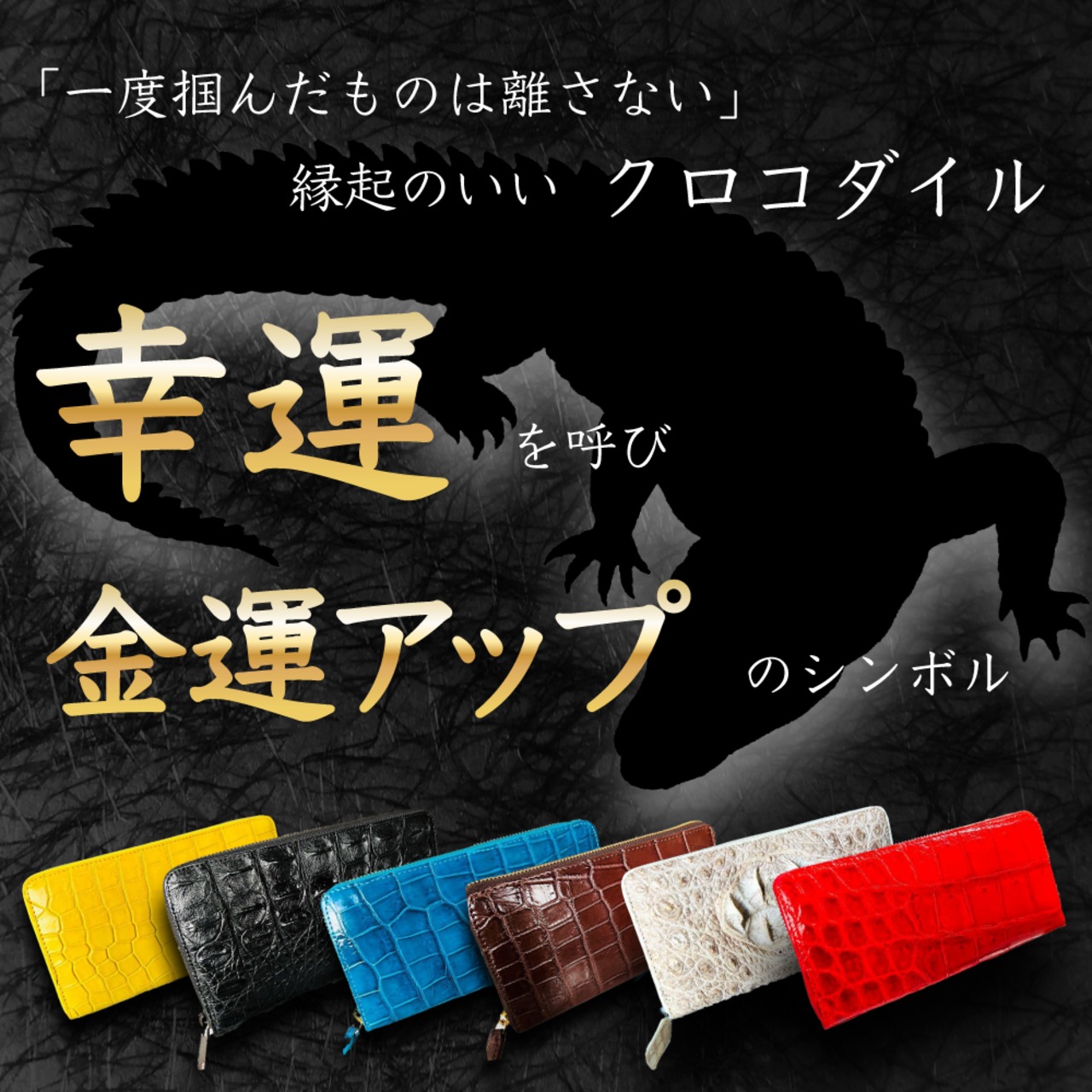 【1ペア】ロスチャイルドトリバネアゲハ（西イリアン産） 1ペア】ロスチャイルドトリバネアゲハ（西イリアン産） 【公式通販】