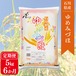 【6か月定期便】石川県産ゆめみづほ5㎏