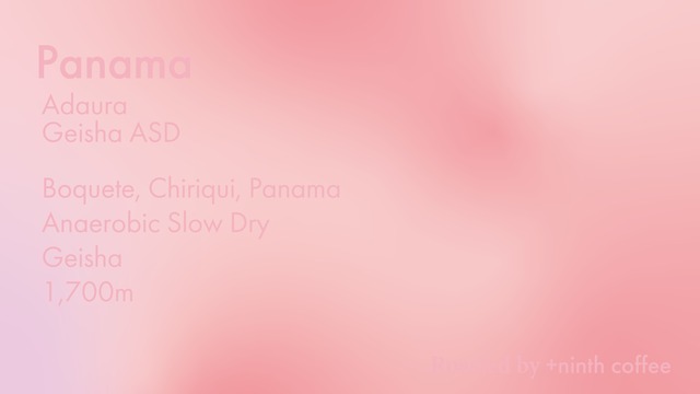 Guatemala El Injerto Patagonia, Pacamara - Natural