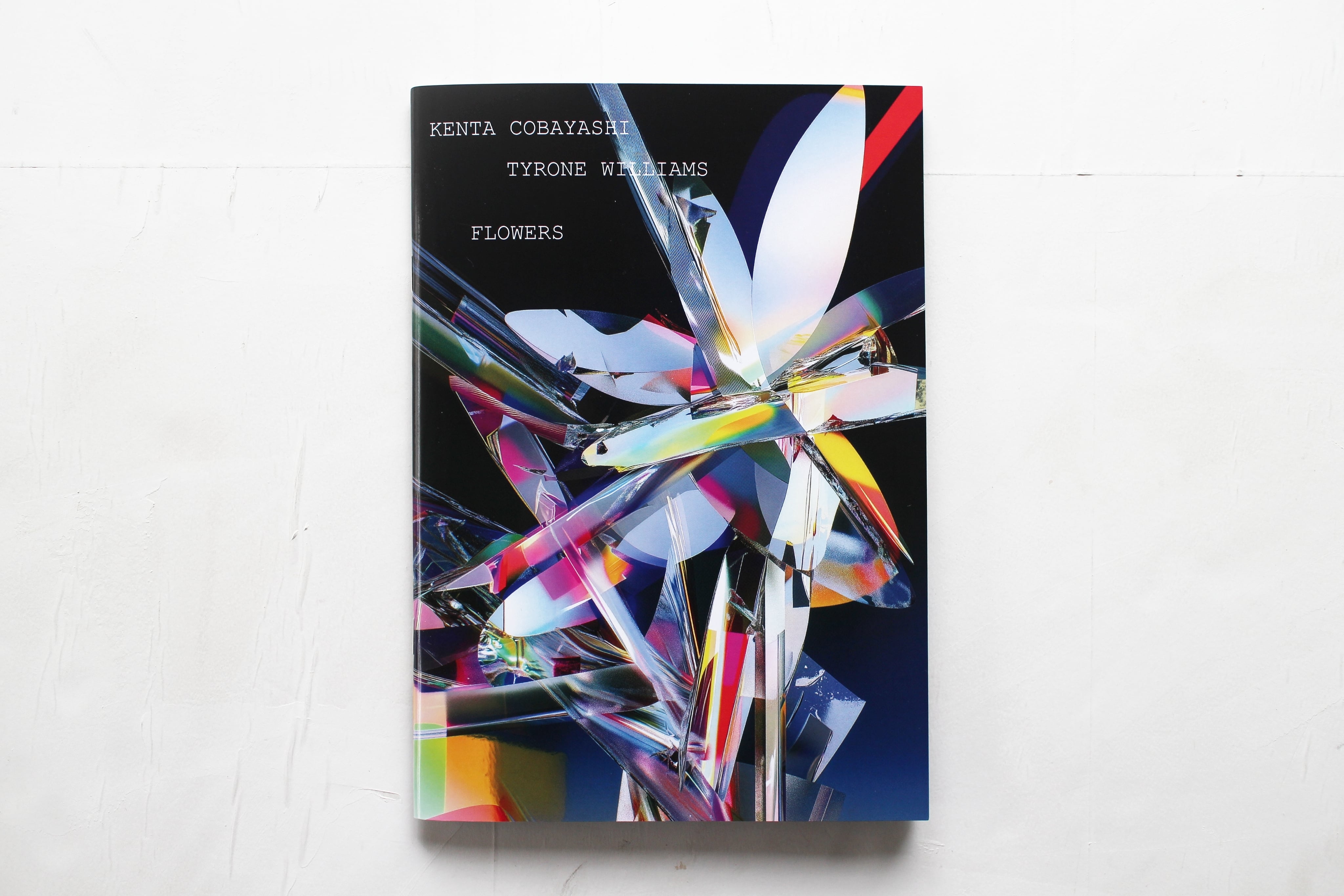 Hellen van Meene PORTRAITS | Pay ID