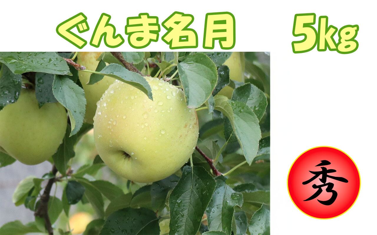 宮古島産 極上の逸品 完熟 アップルマンゴー2kg （4～5玉）15度以上