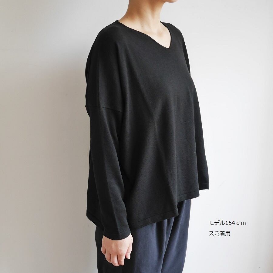 cotton v neck pullover コットンＶネックプルオーバー　evam eva | 日々花［ Hibika online ］  powered by BASE