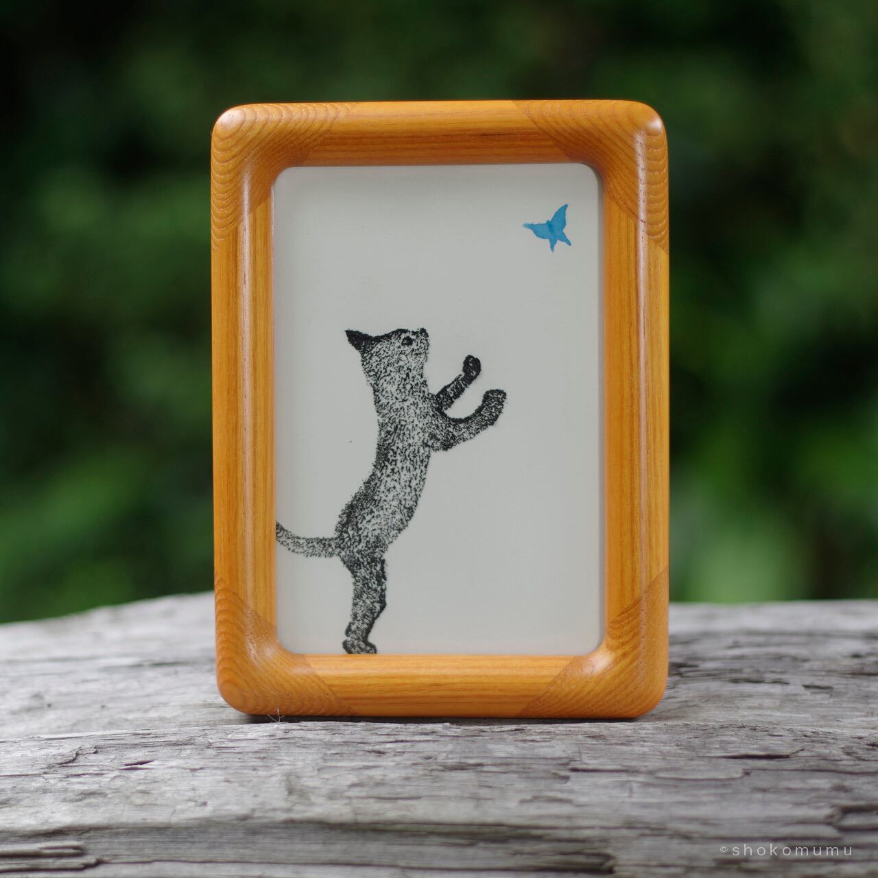 残り1点のみ]屋久島額装写真 【公式通販】