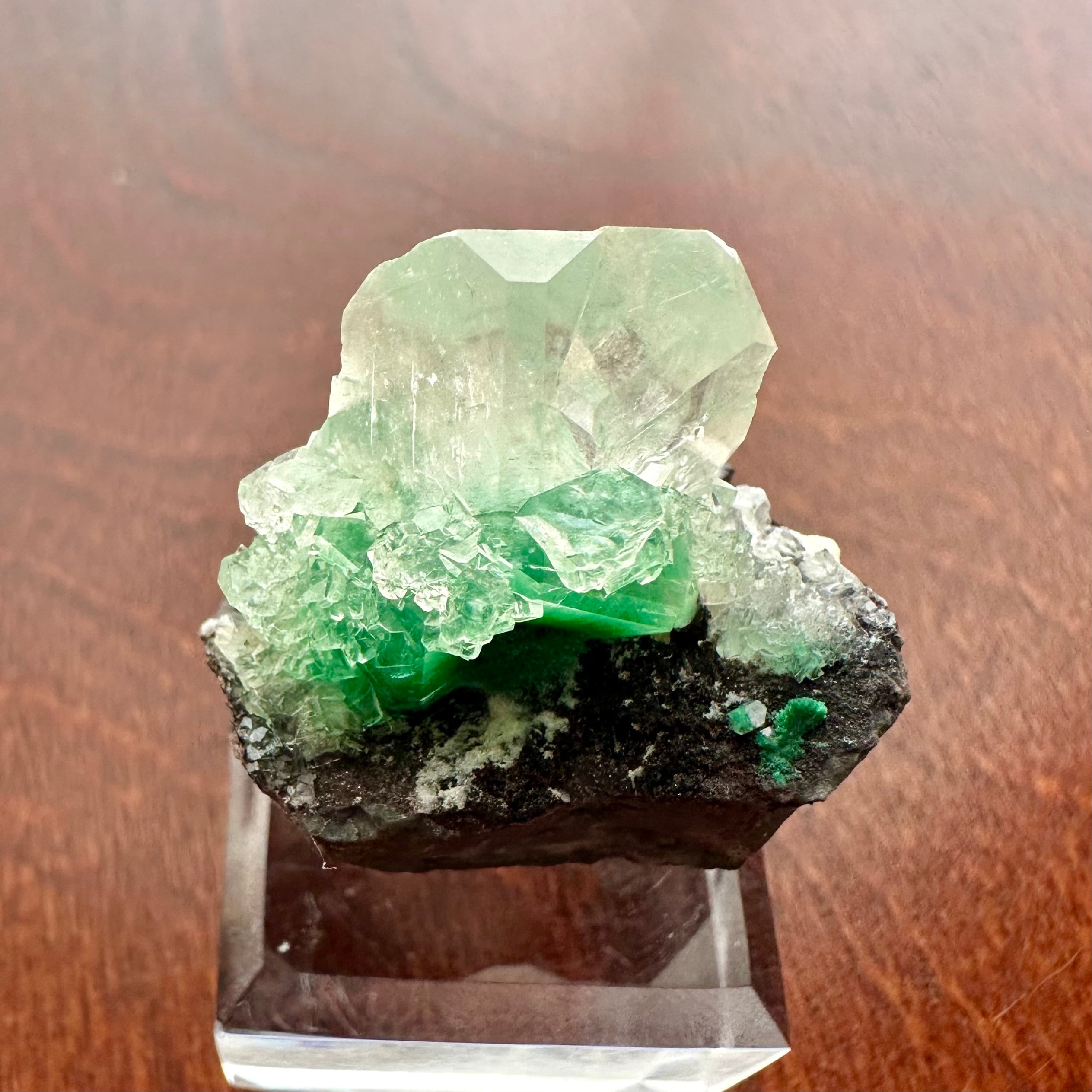 カルサイト / マラカイト【Malachite in Calcite】ナミビア産