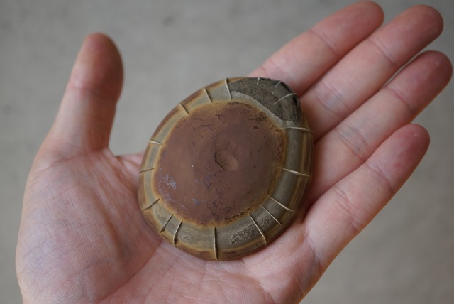 ゴビ砂漠産亀甲石 Turtleback Stone 1323