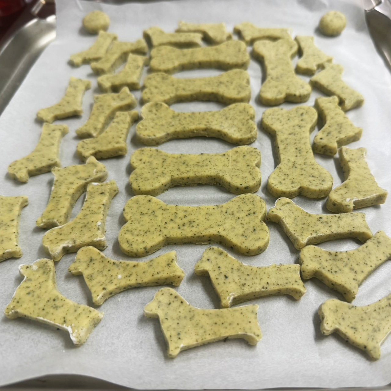 愛犬のためのおやつ ヤギばぁの犬用くわクッキー(大)200g・画像5