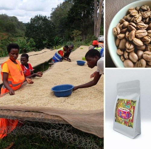 ブルンジ｜カヤンザ｜ブシンデ ウォッシングステーション｜ブルボン｜ウォッシュド｜150g