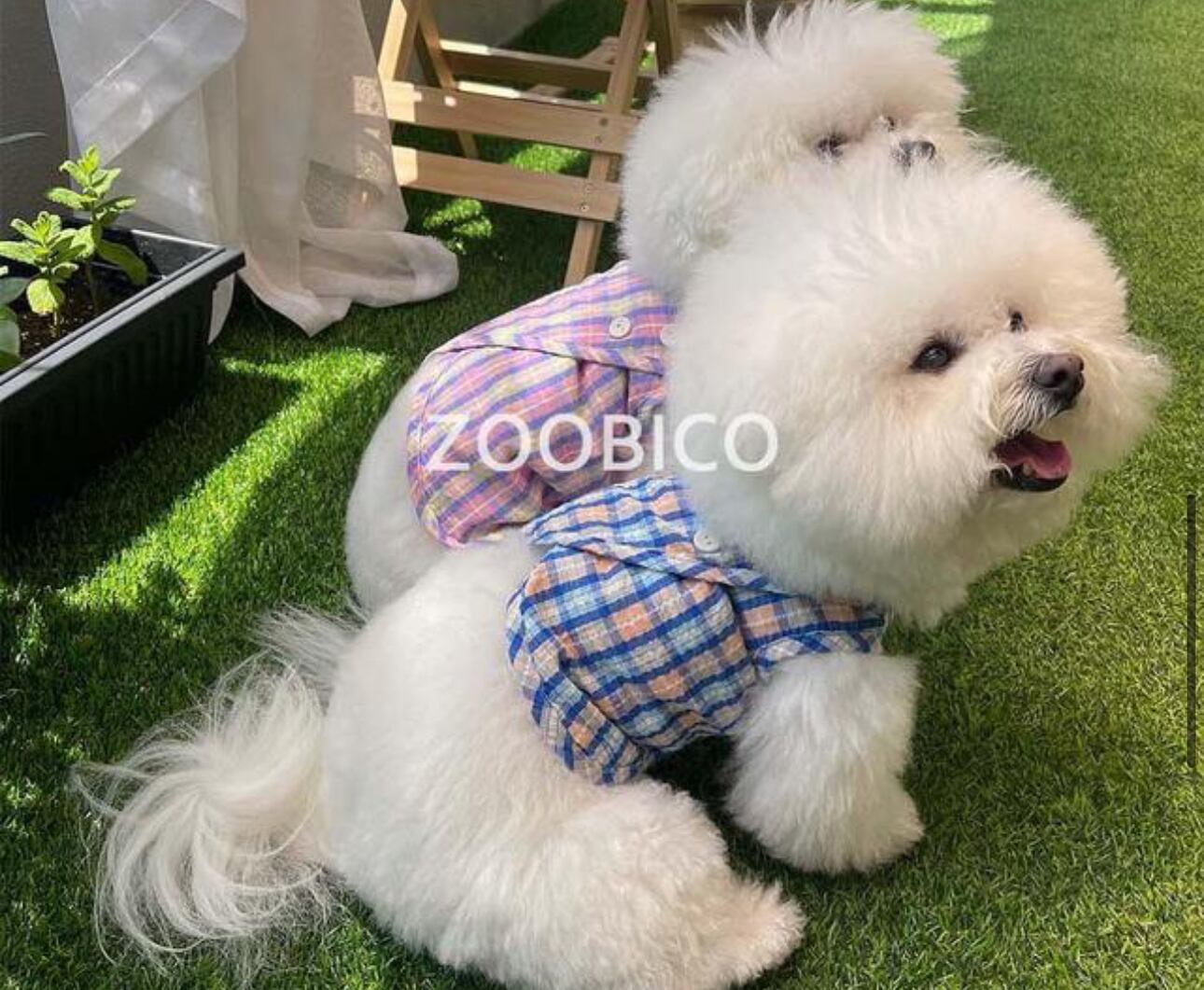 即納/【ZOOBICO】Tweety Ripple Vest