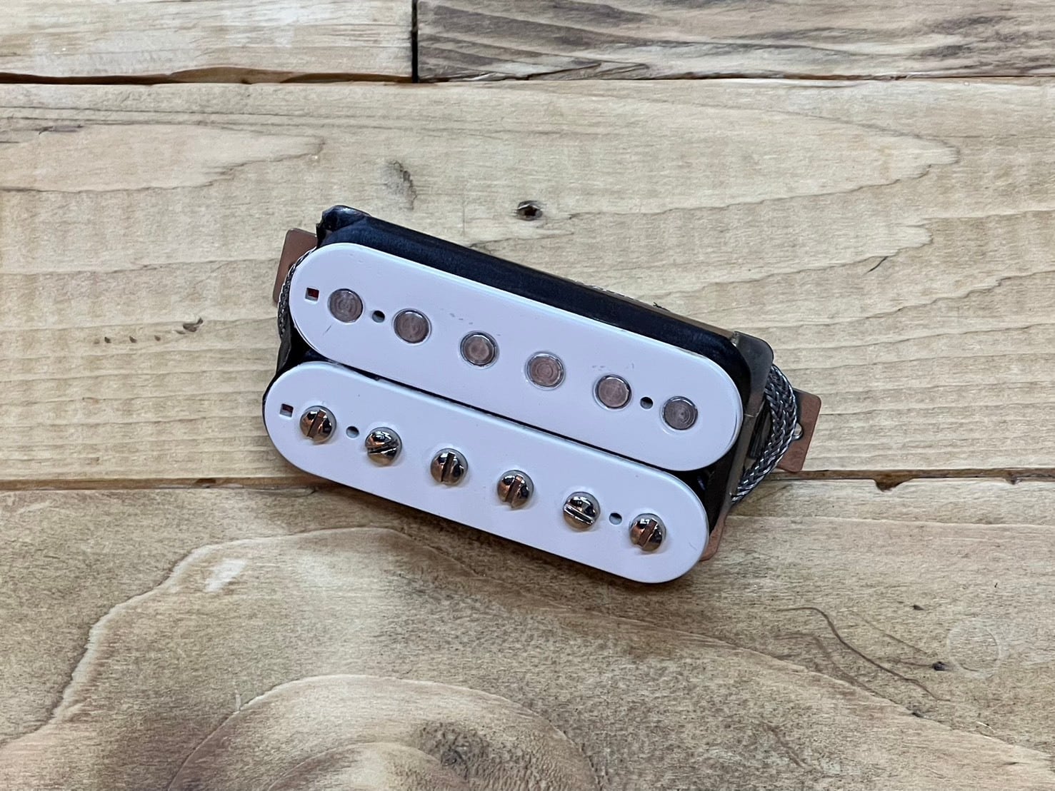 NAKED CATS / MAGIC DRAGON 