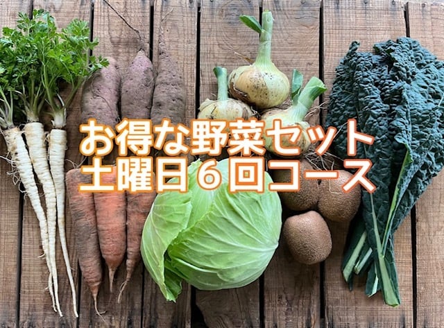5/10(土)より隔週土曜お届け!野菜セット(6回コース) | オトワ 5/10(土)より隔週土曜お届け!野菜セット(6回コース) | オトワ