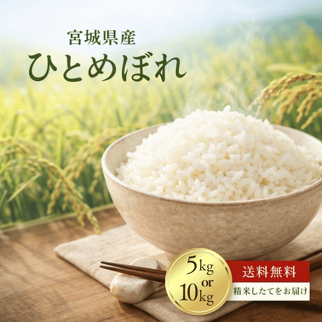 送料無料！令和7年産 宮城県産ひとめぼれ 白米 5kg or 10kg お米 美味しい おいしいお米 おこめ 10キロ 精米 国産米