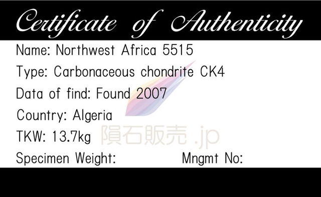 NWA5515 隕石 2.1g 炭素質コンドライト CK4 石質隕石 標本 M2602