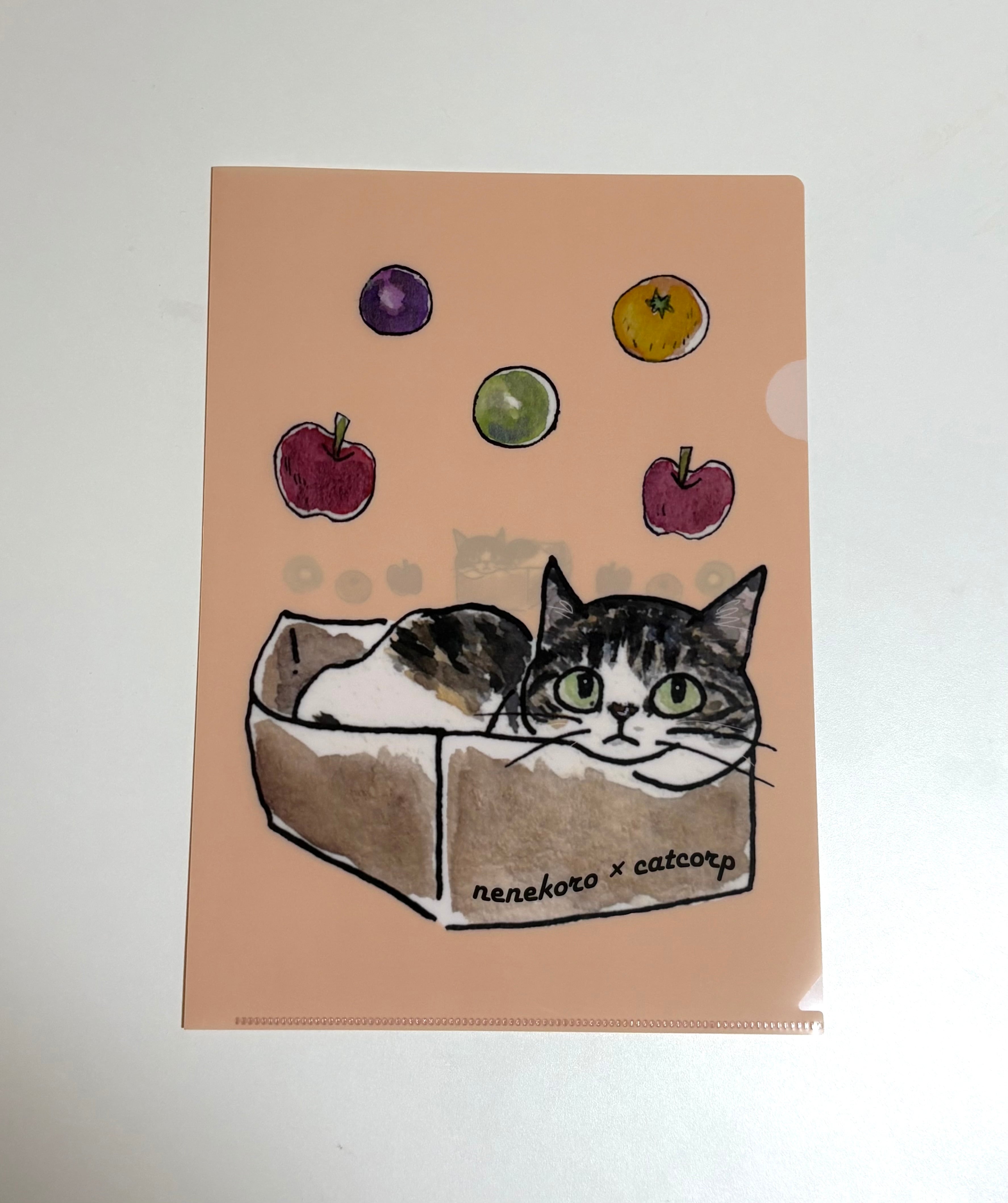 さび猫ちゃん A4クリアファイル | catcorp