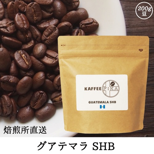 【焙煎所直送】グァテマラ SHB 200g 【中深煎り アラビカ種 ストレートコーヒー】