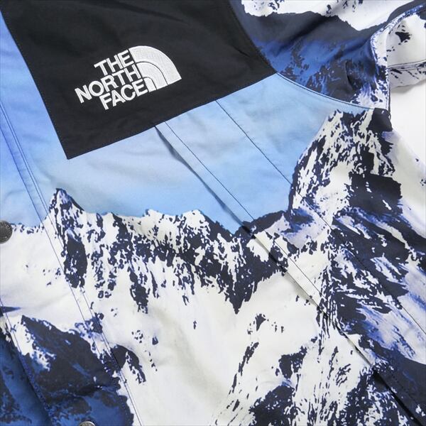 17aw supreme the north face mountain