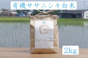 【2025年産】新米予約【2kg】有機ササニシキ白米